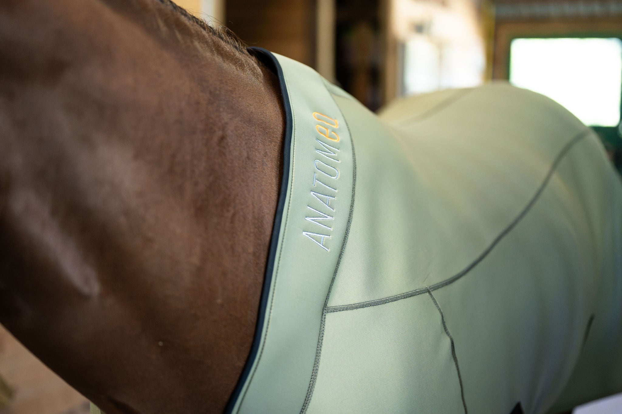 Sportswear-Inspired Equinewear: The Vision Behind Anatomeq