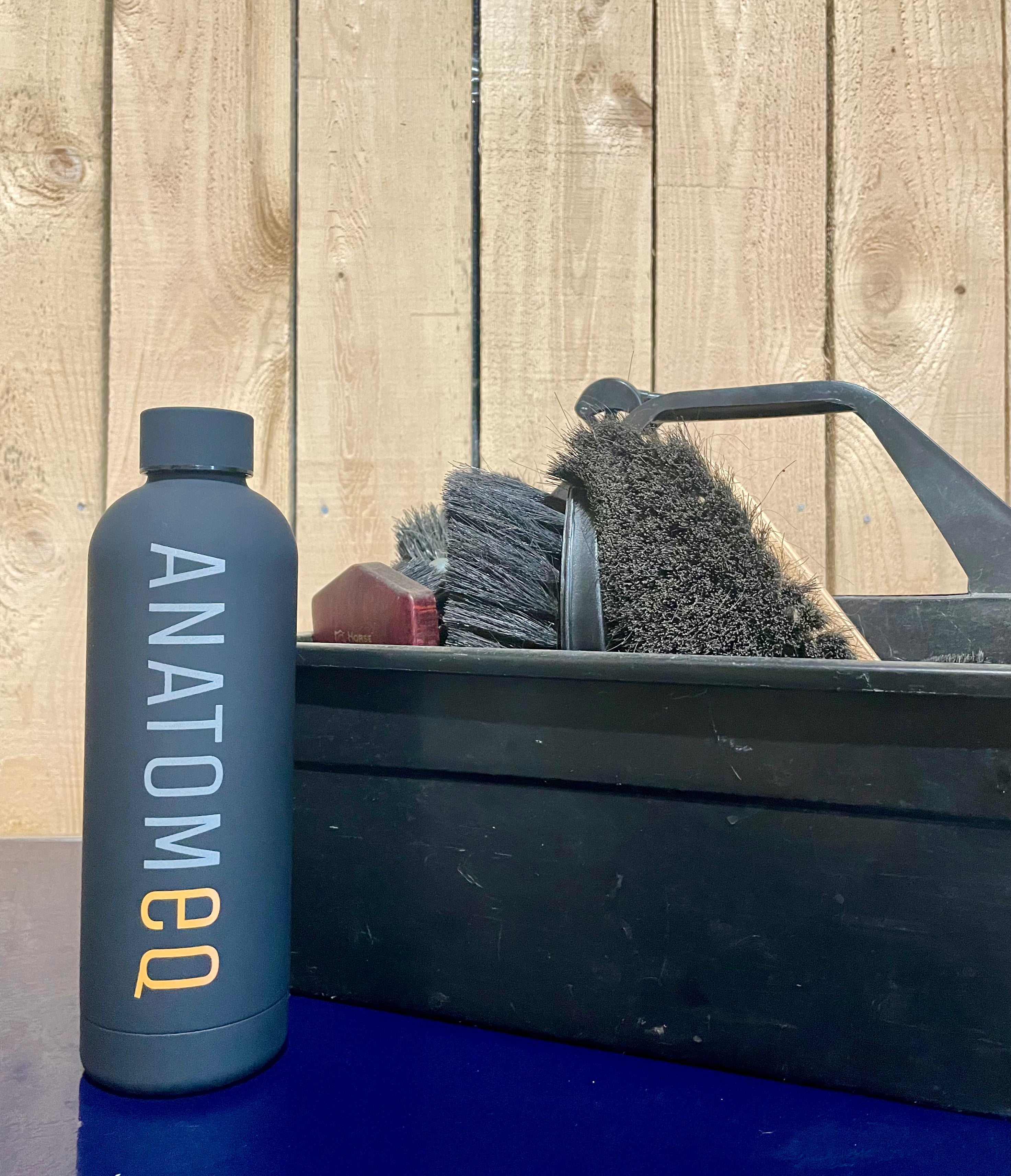Anatomeq Water Bottle next to brush set