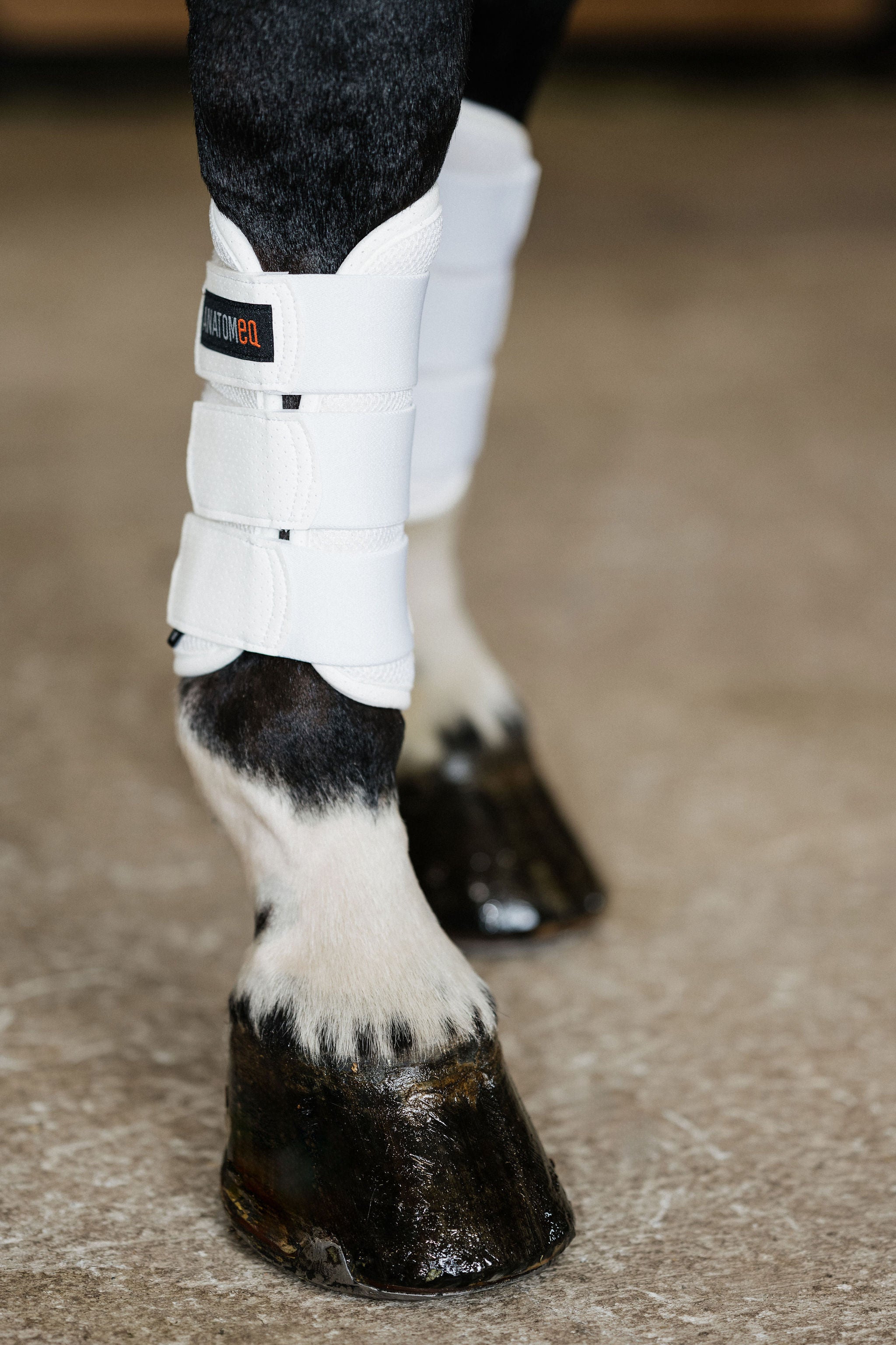 AirGuard Brush Boots