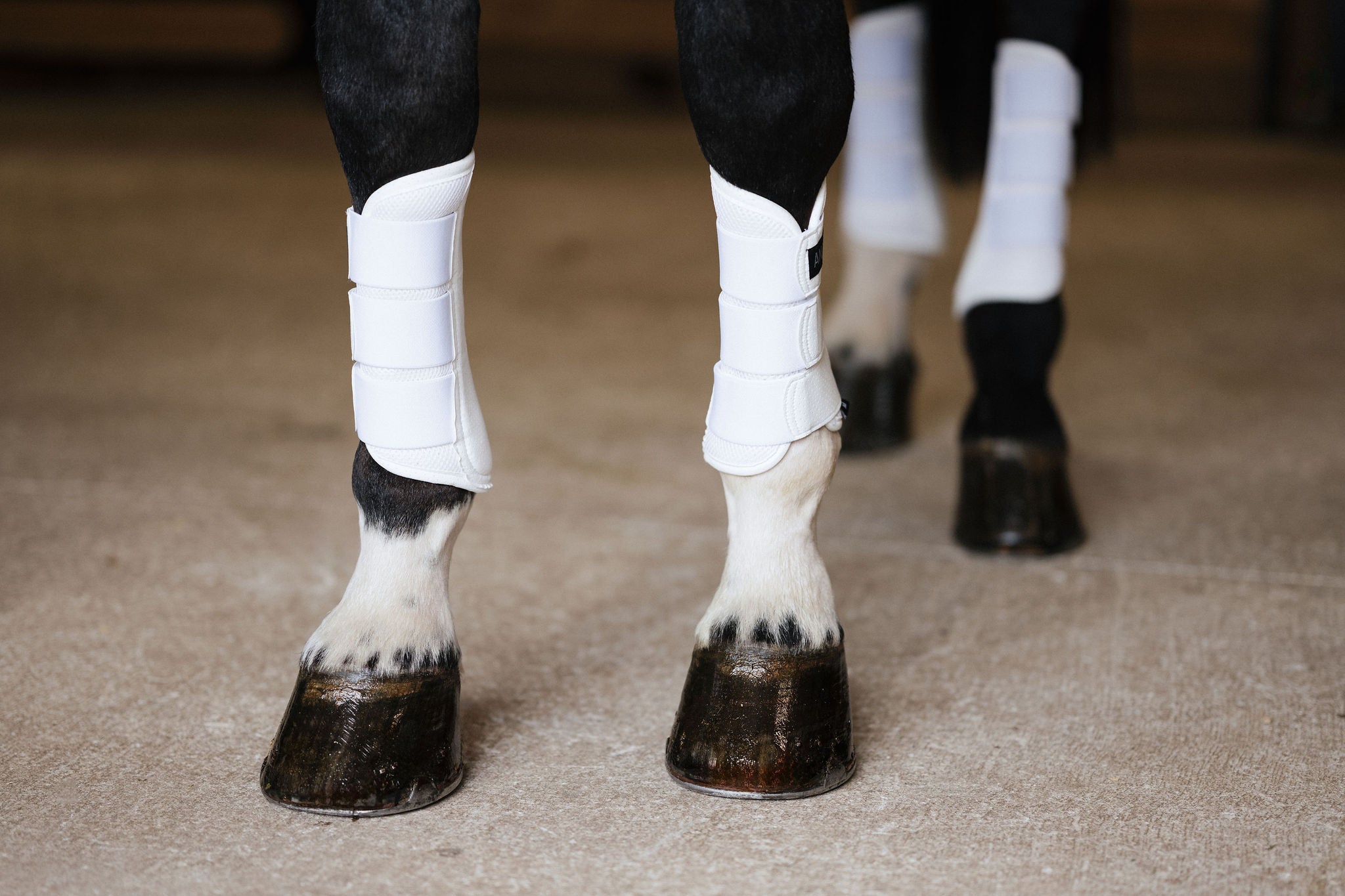 AirGuard Brush Boots