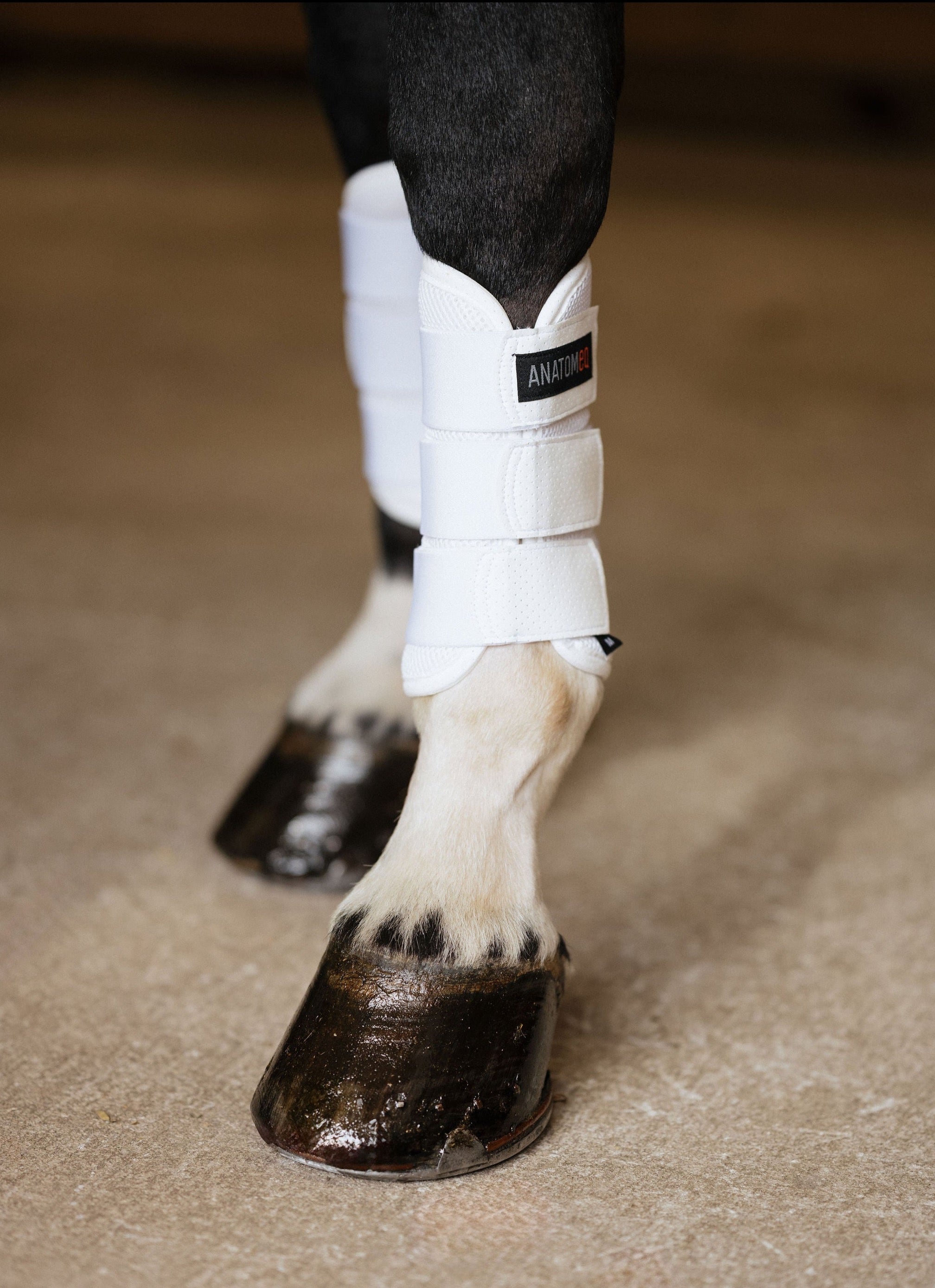 AirGuard Brush Boots