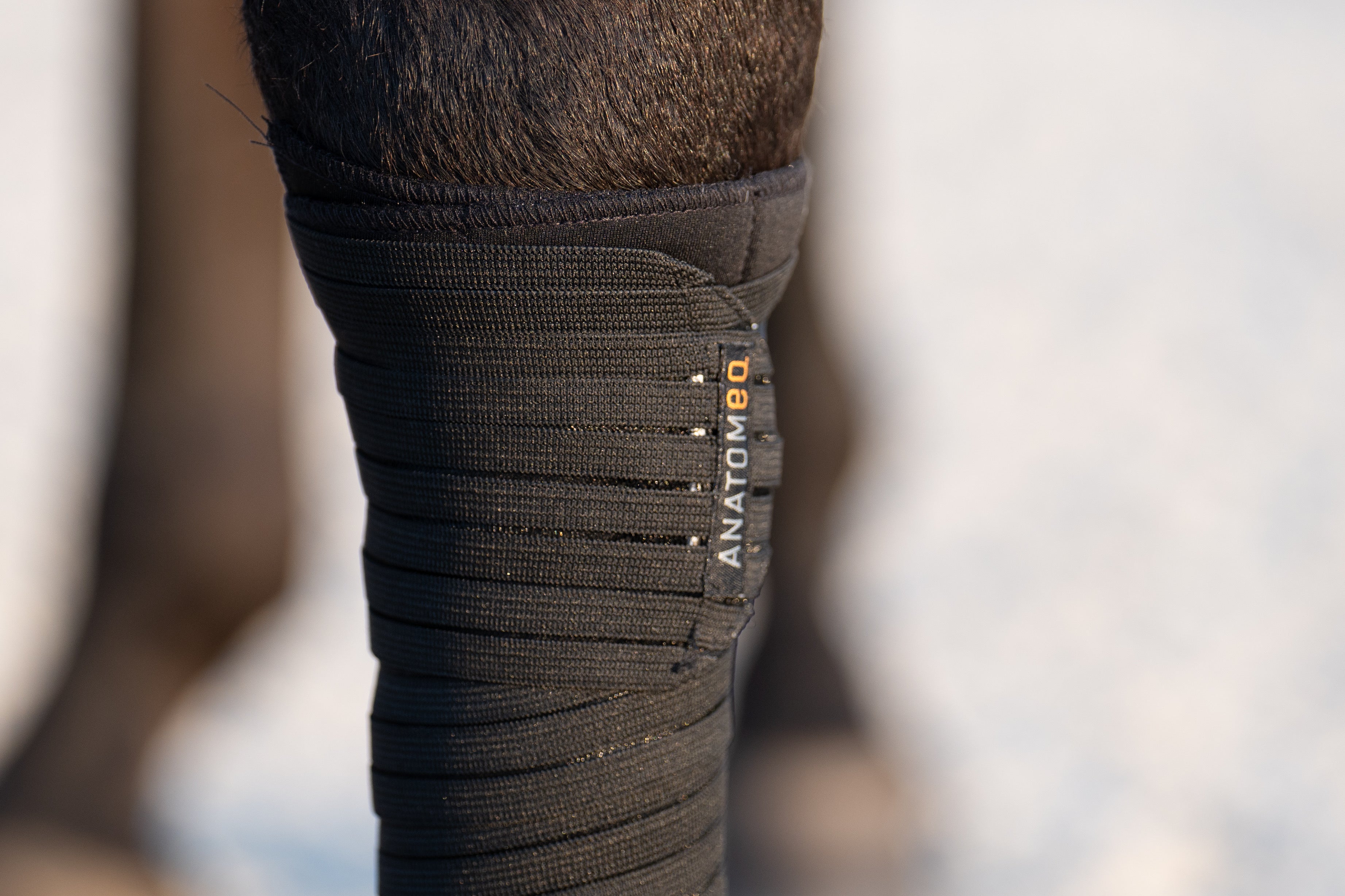 AirSupport Polos
