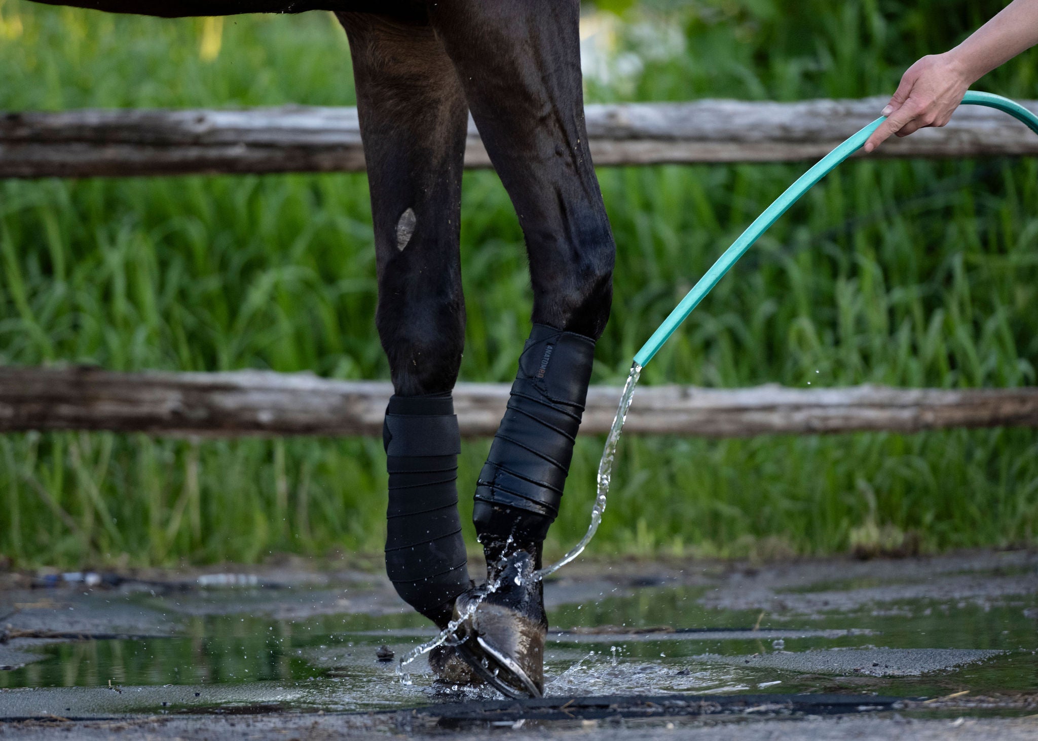 Convenience and Versatility: Why the Gear You Bring to the Horse Show Matters