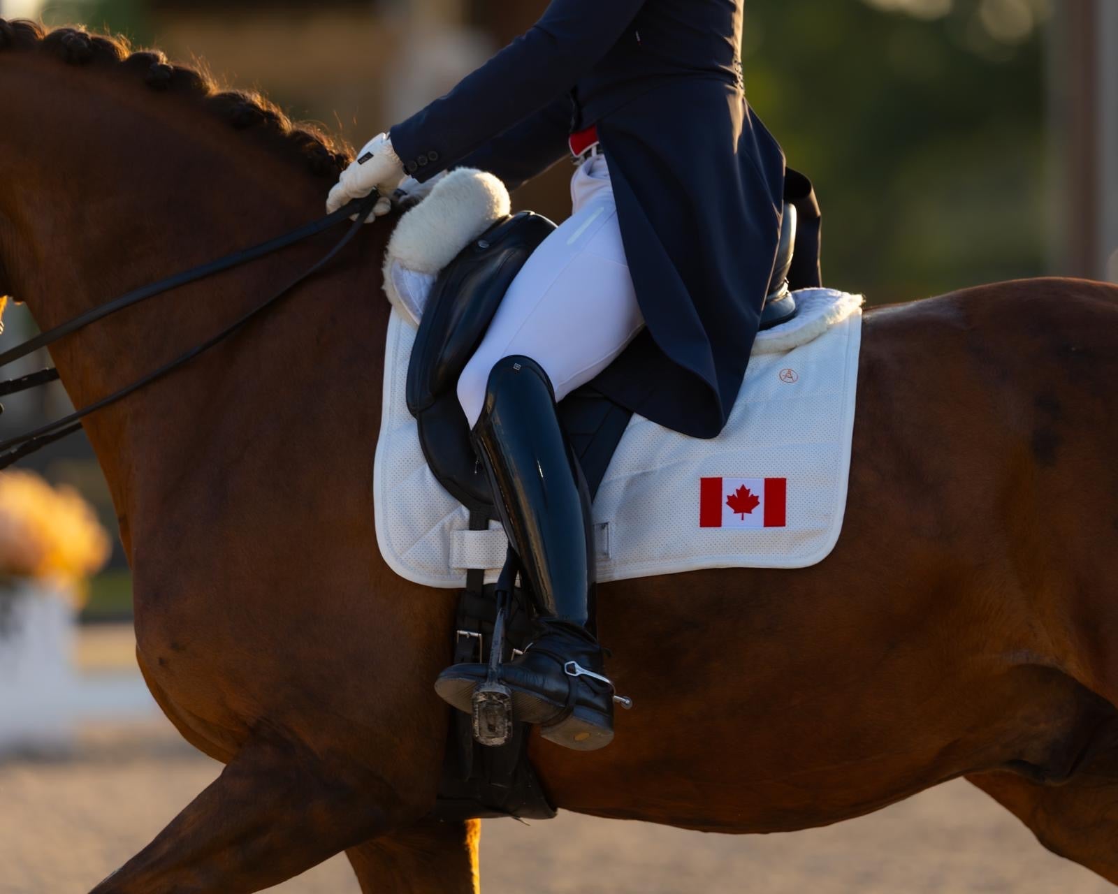 Canadian-made Equinewear