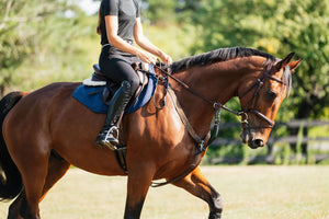 Perfeq XC Pad