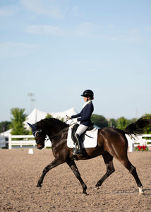 Perfeq Dressage Pad