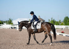 Perfeq Dressage Pad