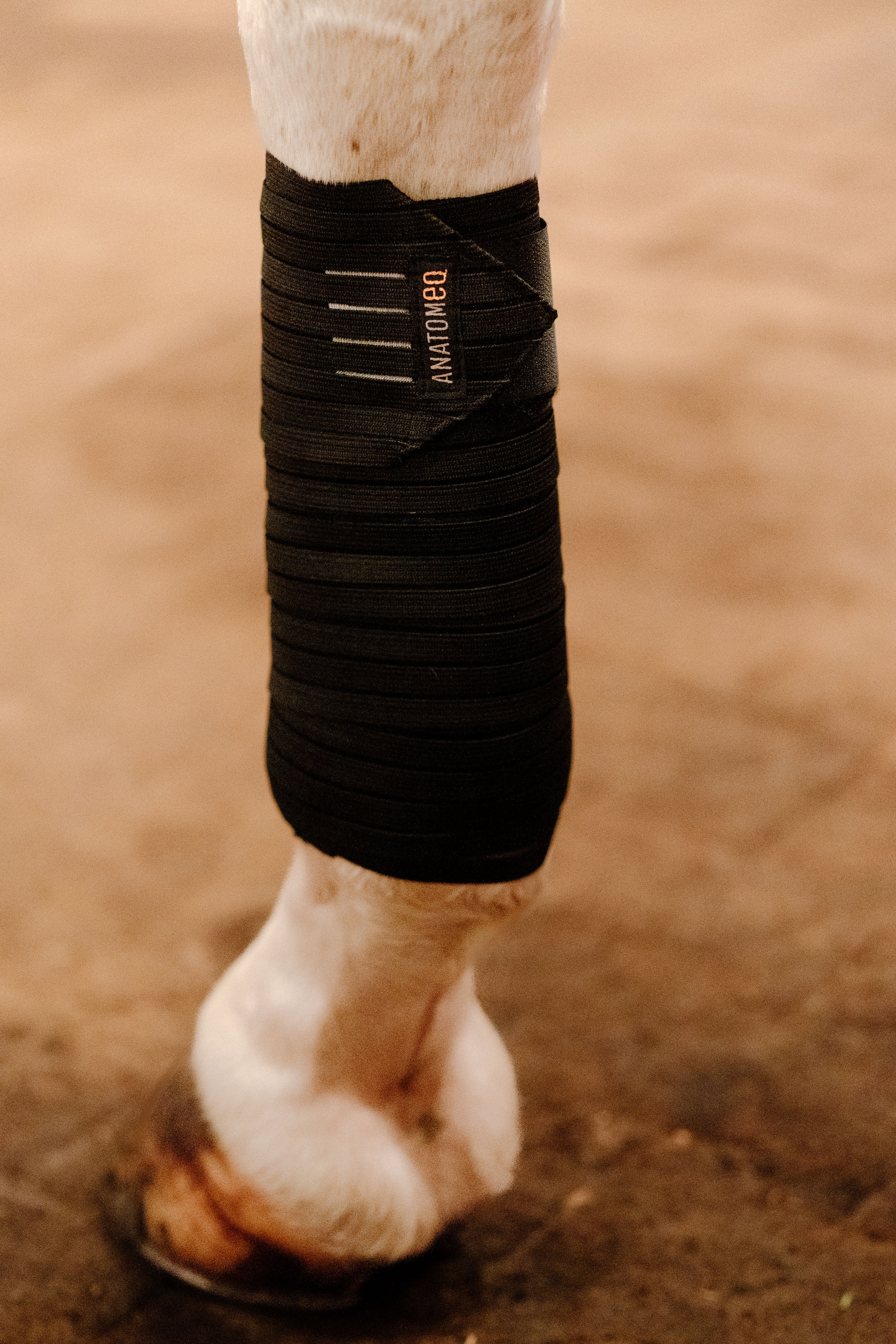 CoolSupport Combi Polos