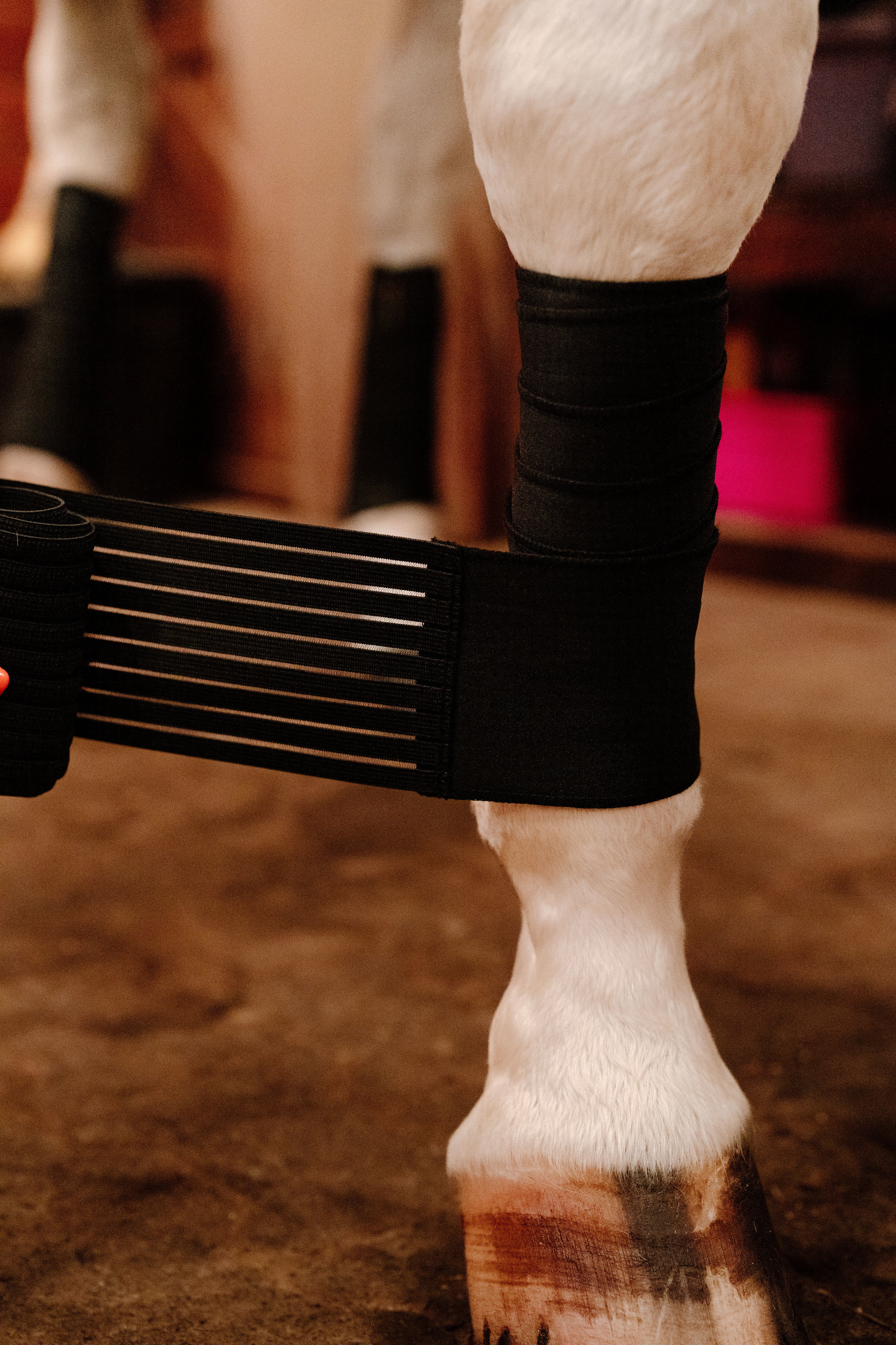 CoolSupport Combi Polos