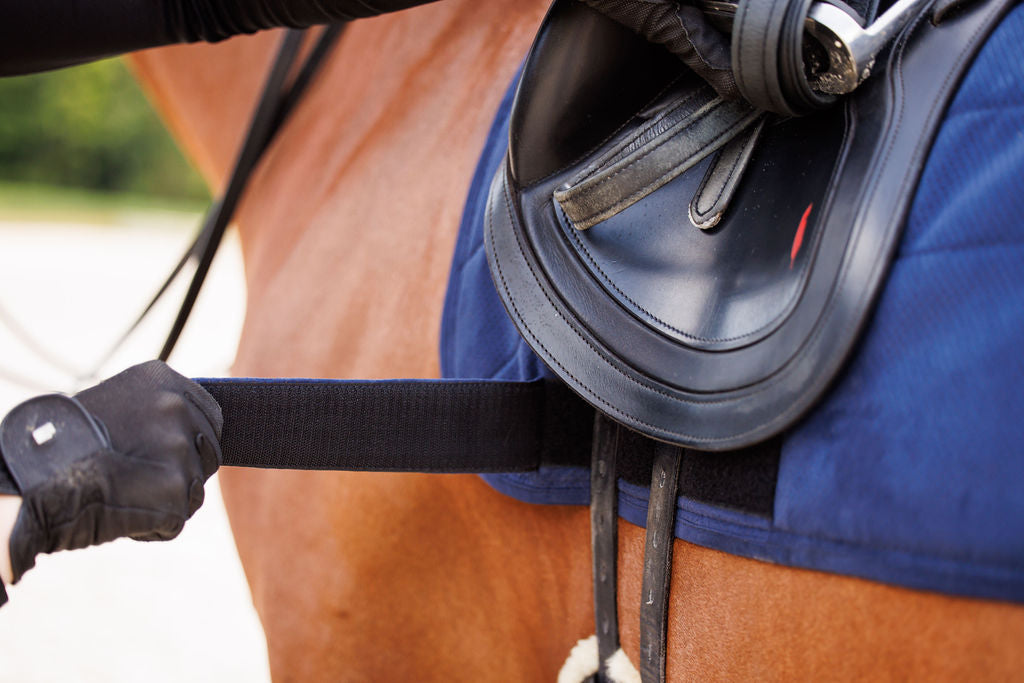Perfeq Dressage Pad