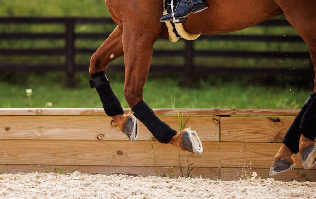 SoftSupport Polos