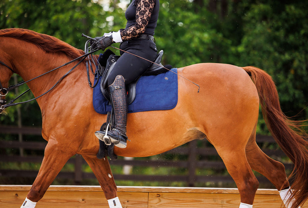 Perfeq Dressage Pad - Discontinued Colors