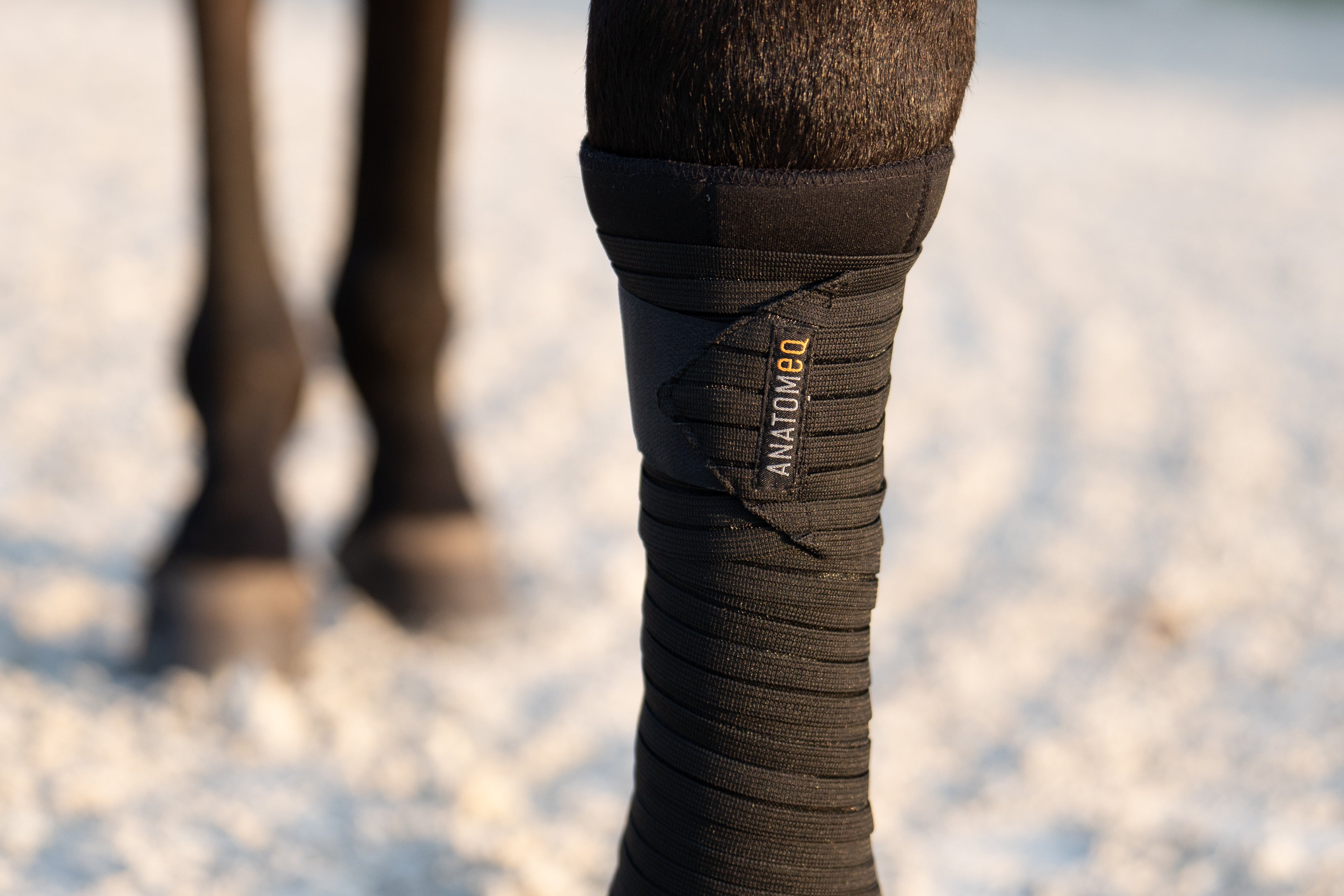 AirSupport Polos